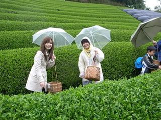 2007-04-12 20:37:05