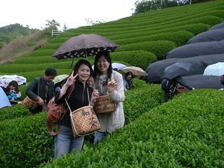2007-04-12 20:38:35