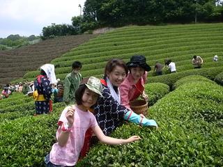 2009-07-05 11:49:45