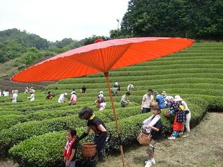2009-07-05 12:13:26