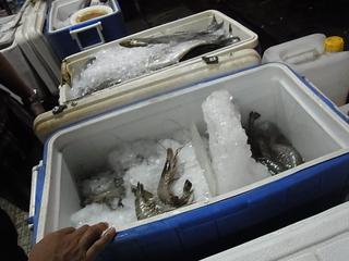 2011-02-18 21:02:22