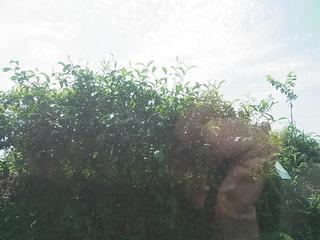 2011-02-19 12:06:15