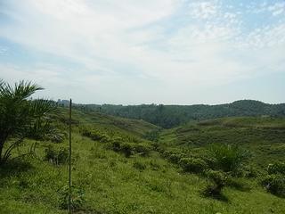 2011-02-19 12:06:35