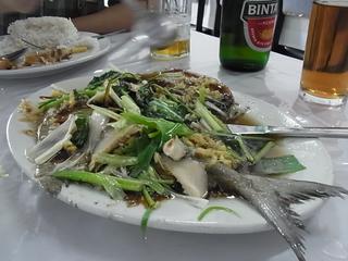2011-02-19 13:22:19