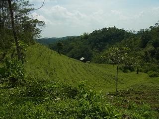 2011-02-19 15:47:49