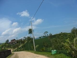 2011-02-19 15:50:21
