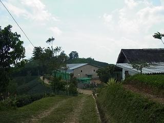 2011-02-19 15:56:41