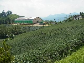 2011-02-19 16:02:52