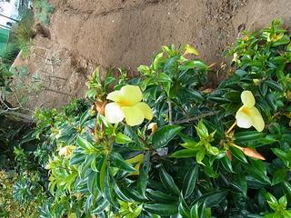 2011-02-19 16:13:47