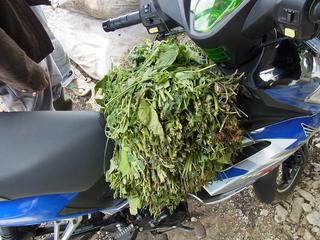 2011-02-19 16:20:55