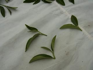 2011-02-19 16:30:15