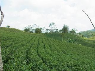 2011-02-19 16:48:21