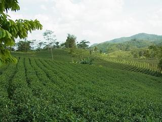 2011-02-19 16:48:29