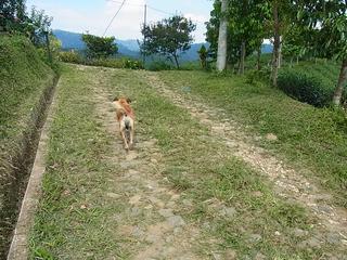 2011-02-19 16:50:04