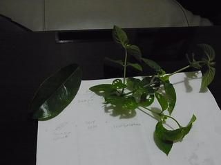 2011-02-19 21:05:26