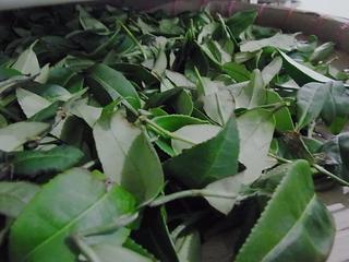2011-02-19 22:50:03