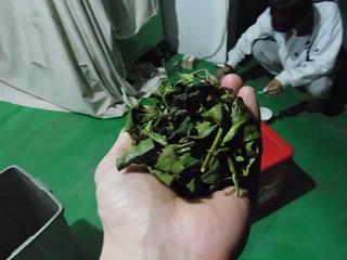 2011-02-19 23:24:59