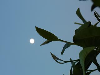 2011-02-20 07:51:11