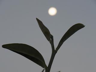 2011-02-20 07:53:40