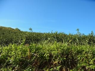 2011-02-20 09:45:28