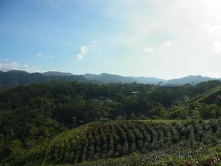 2011-02-20 09:57:30