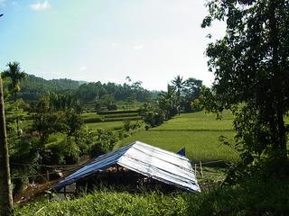 2011-02-20 10:18:08
