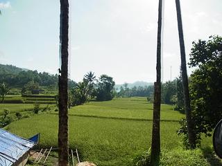 2011-02-20 10:18:13
