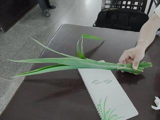 2011-02-21 13:01:09