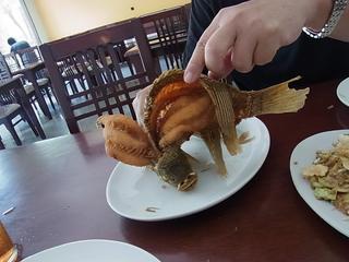 2011-02-21 13:21:45
