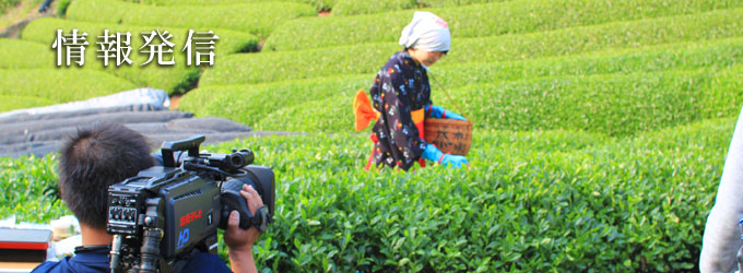 情報発信