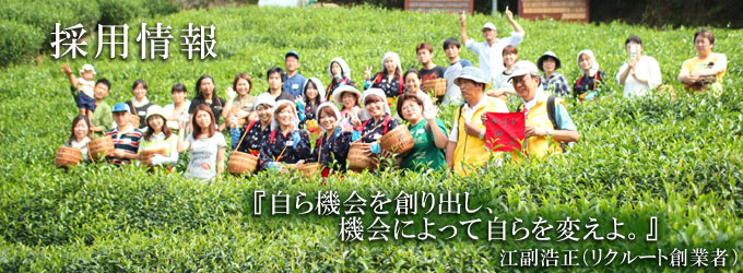 採用情報