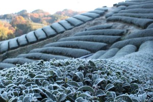 obubutea121213005 obubutea121213005